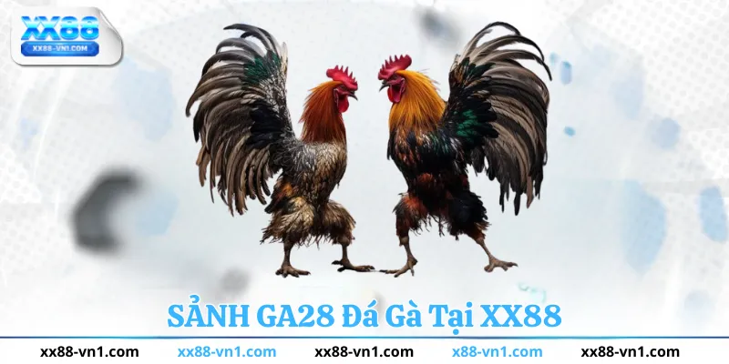 Sảnh GA28 Đá Gà Tại XX88