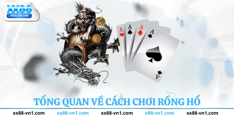 Tổng quan về cách chơi rồng hổ tại xx88