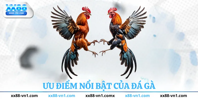 Ưu điểm nổi bật của đá gà