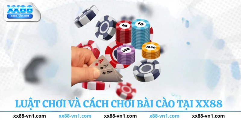 Luật chơi và cách chơi bài cào