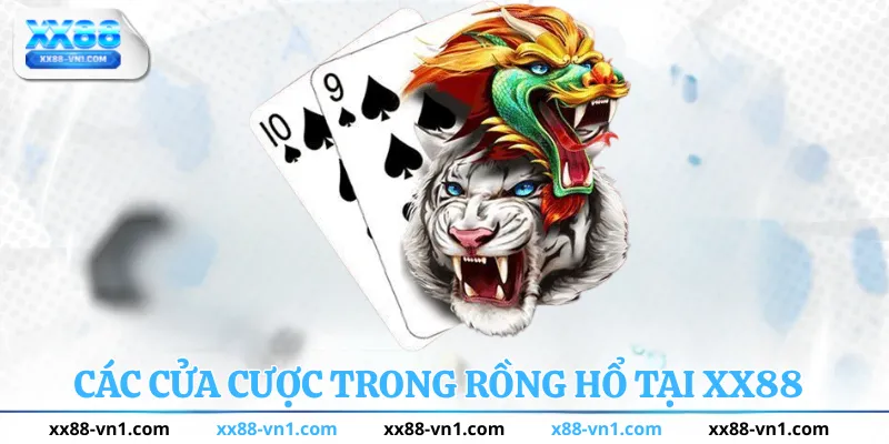 Các cửa cược trong rồng hổ tại xx88