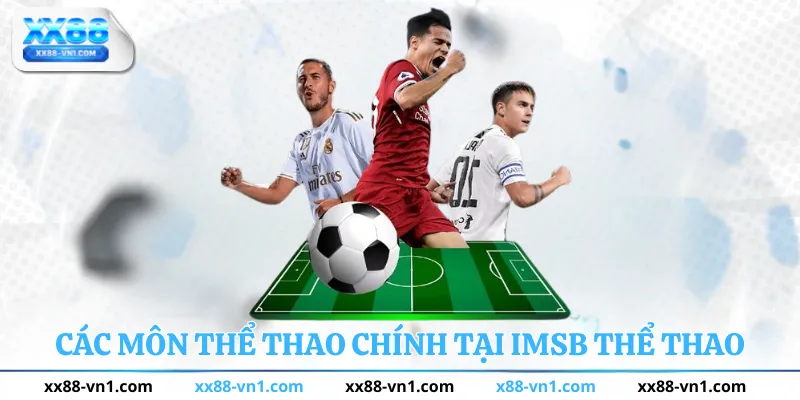 Các môn thể thao chính tại IMSB