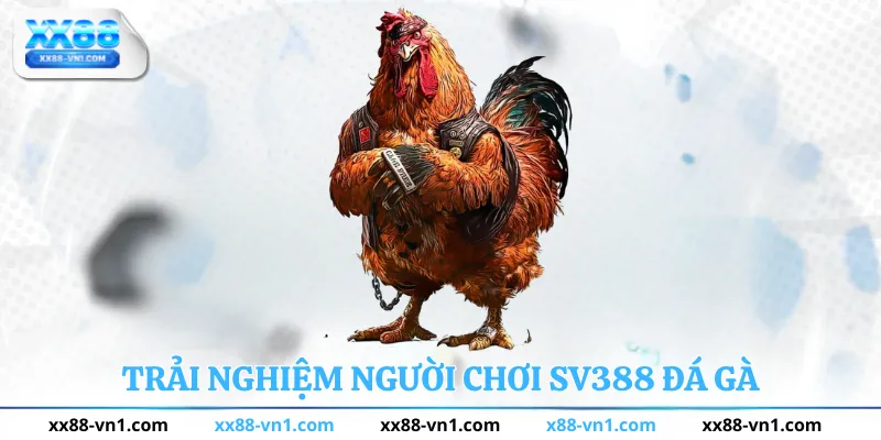 Trải nghiệm người chơi sv388
