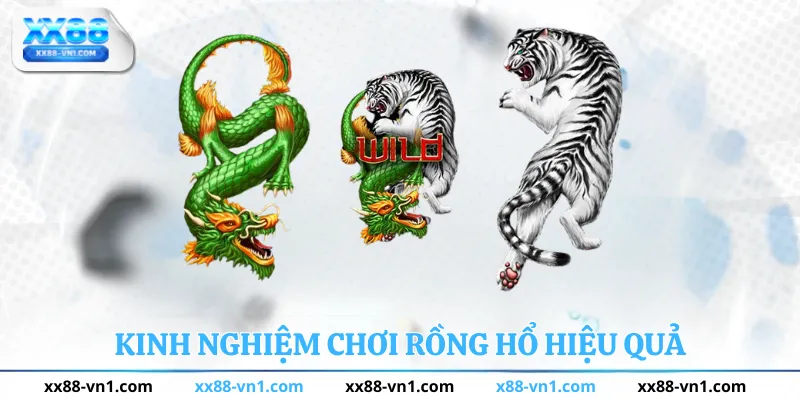 Kinh nghiệm chơi rồng hổ hiệu quả